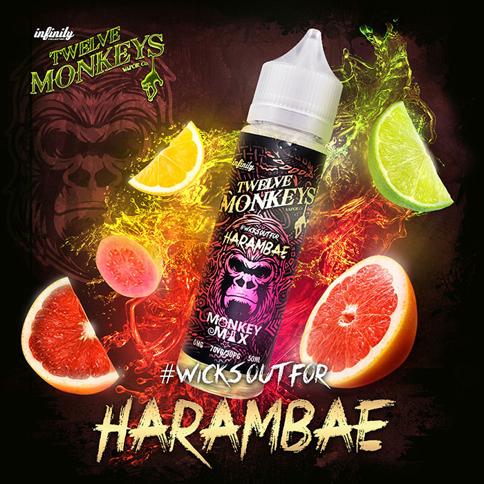 HARAMBAE - Twelve Monkeys e-liquid - 80% VG - 50ml