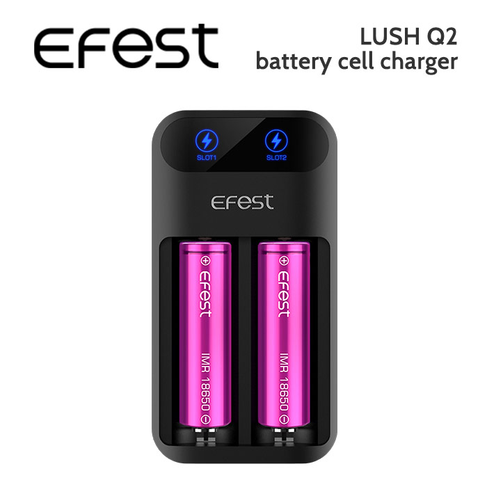 Efest LUSH Q2 2 slot battery cell charger